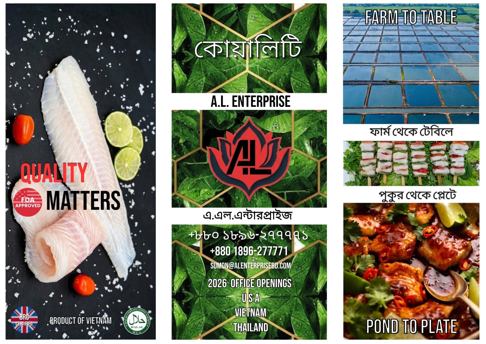 Brochure - Outer Cover